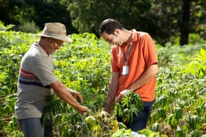 Agropecuário e Engenheiro Agrônomo