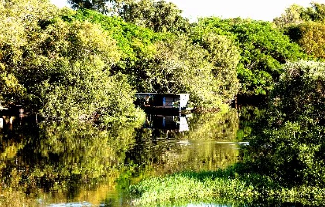 Relatório propõe novas regras para definição de áreas de reserva legal em MT