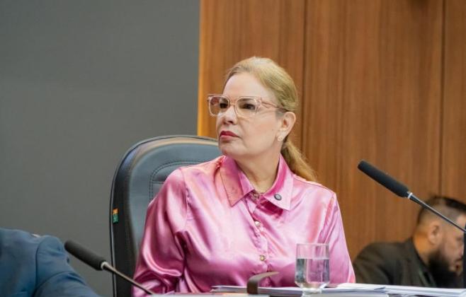 Câmara aprova ampliação da Parada Segura para idosos, PcDs e neurodivergentes