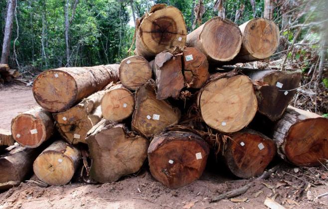 Sema aplica R$ 2,9 bilhões em multas por desmatamento ilegal e incêndios florestais em 2025