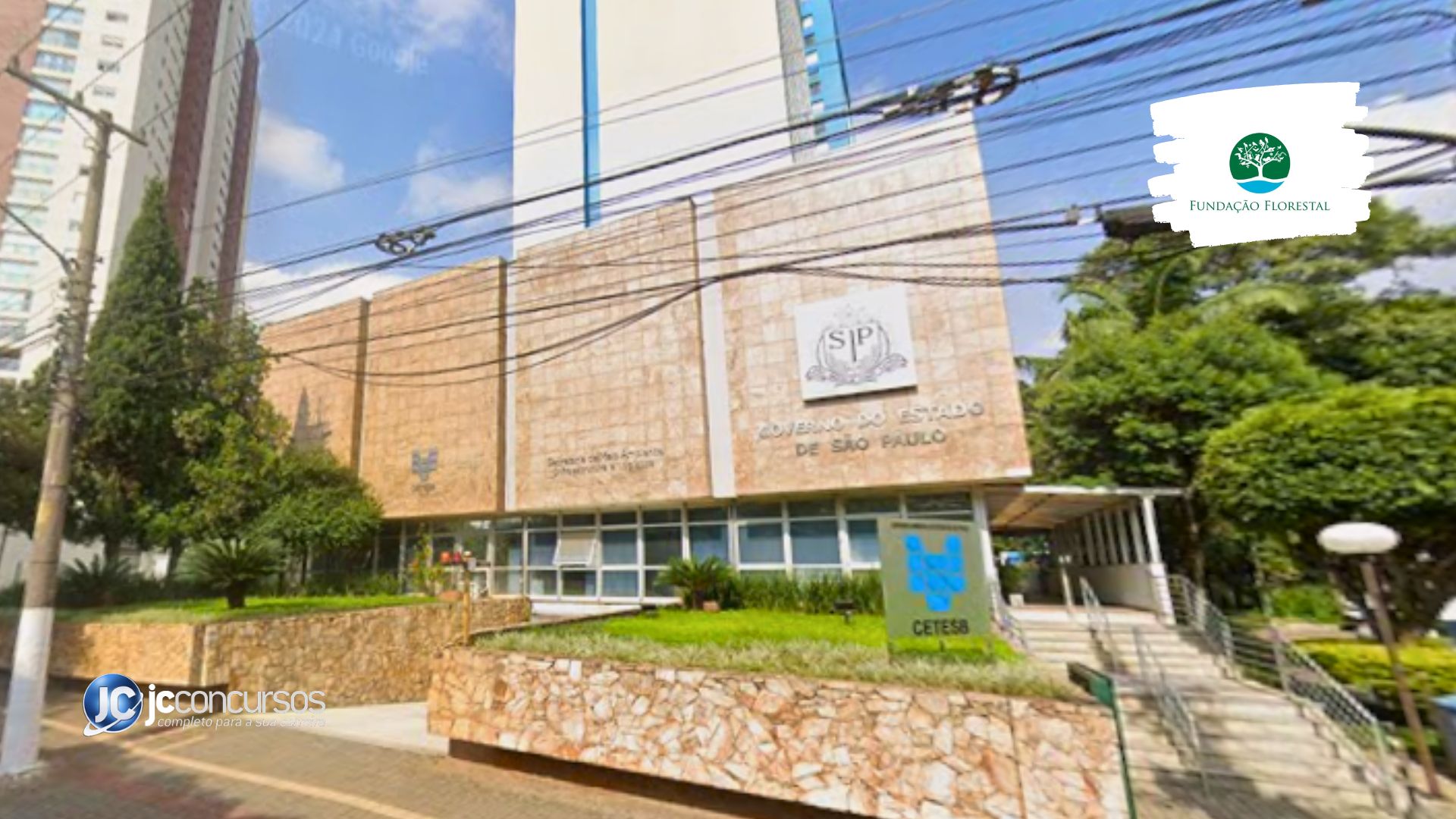 Concurso Fundação Florestal SP: definida banca para novo edital com 70 vagas