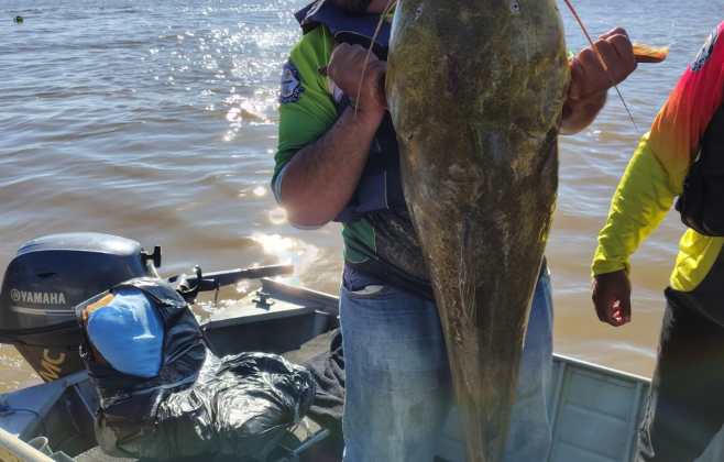 Jaú de 1,30 metro garante prêmio especial no Festival Internacional de Pesca Esportiva de Cáceres