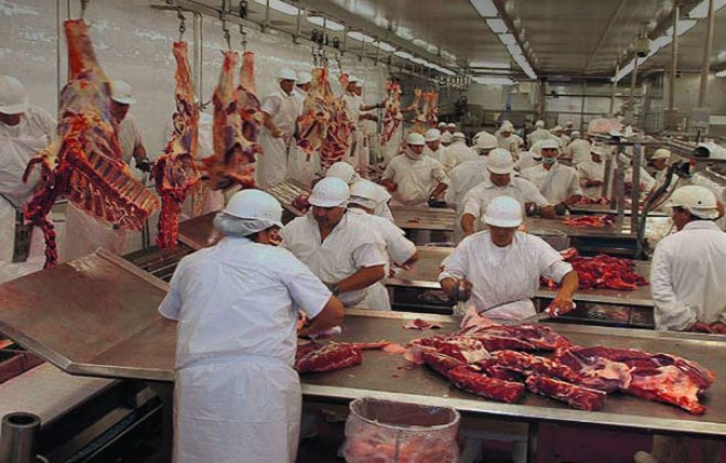 ‘O impacto será menor do que o estimado’, avalia Acrimat sobre ‘boicote’ da UE