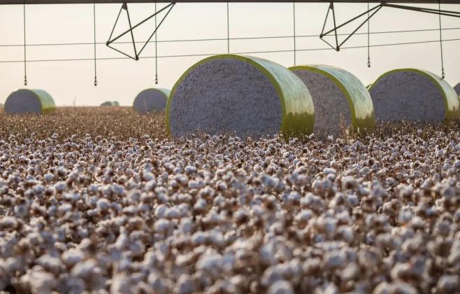 Entenda mudança no mapa que tirou Sorriso do topo da produção agrícola